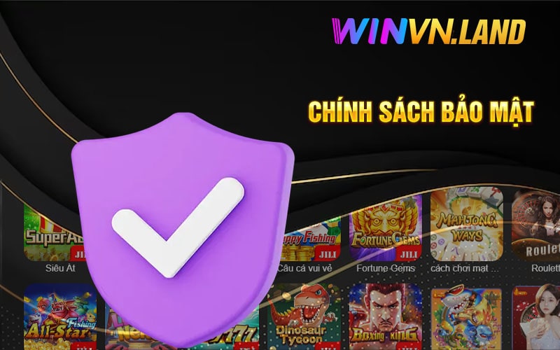 Chính Sách Bảo Mật Winvn